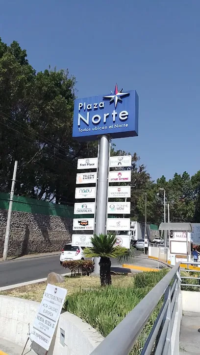 quiropractica en cuernavaca